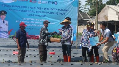 “Pemkot Malang dan TPID: Solusi Cerdas untuk Pasar Cabai yang Stabil”