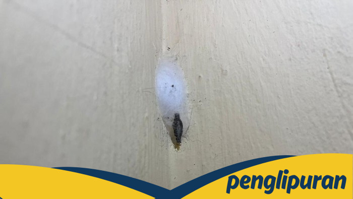 Gatal-gatal karena Kamitetep? Begini Cara Mengatasi saat Musim Hujan