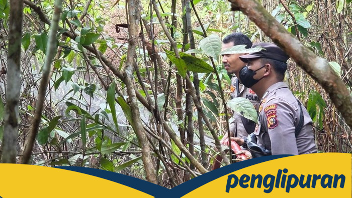 Kebakaran Hutan Liar di Kampar, Aksi Sigap Pamapta Polres-TNI Simpan 2 Ha Lahan dari Api Musnah