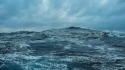 3 Pria Vietnam Selamat dari 40 Jam Terombang di Laut Akibat Topan Kalmaegi