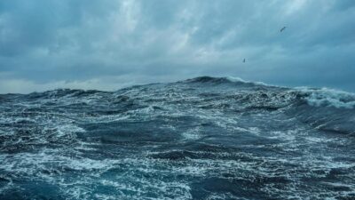 3 Pria Vietnam Selamat dari 40 Jam Terombang di Laut Akibat Topan Kalmaegi