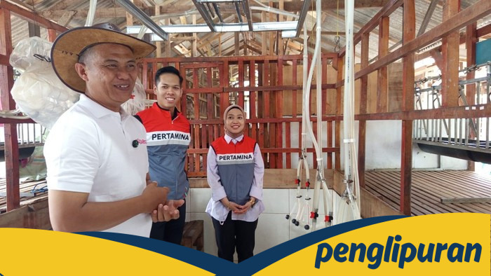 Peternak Lampung Ciptakan Susu Kambing Modern dari Kandang Bambu