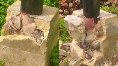 **Viral Pondasi Tiang Listrik di Sambas Retak, Ditemukan Kelapa dan Serabut di dalamnya!**