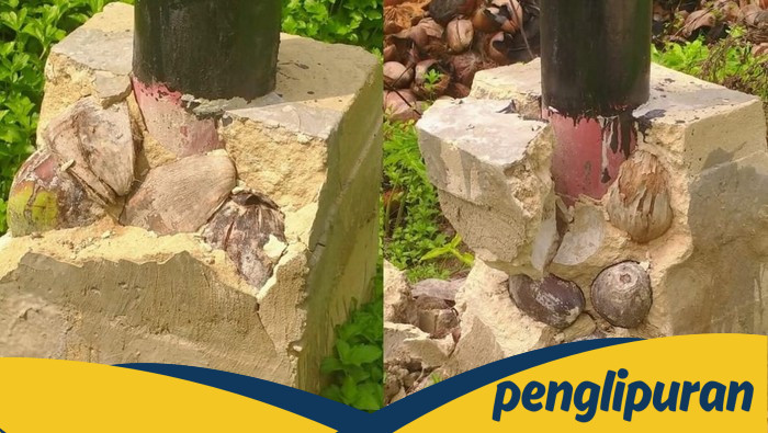 **Viral Pondasi Tiang Listrik di Sambas Retak, Ditemukan Kelapa dan Serabut di dalamnya!**