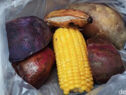 Kukusan Lagi Ngetren, Jadi Pilihan Sarapan Sehat Biar Nggak Gorengan Melulu – Update 1