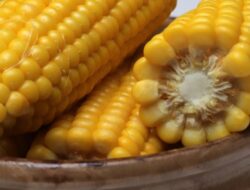 “Dikukus atau Direbus? Manfaatnya Beda Lho, Jangan Salah Pilih”