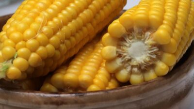 “Dikukus atau Direbus? Manfaatnya Beda Lho, Jangan Salah Pilih”