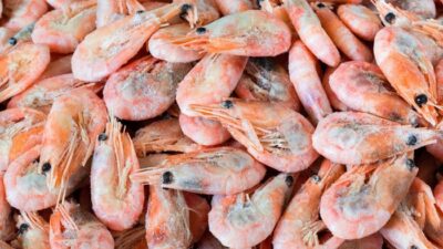 Empat Laboratorium Indonesia Lolos Persetujuan FDA, Uji Cs-137 pada Udang, Menuju Pembenaran Internasional!