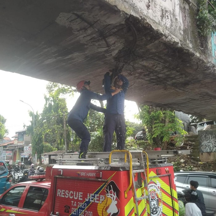 Jembatan Air di Kedunghalang Bogor Bocor, Truk Kontainer Nyangkut Jadi Biang Kerok!