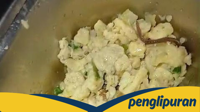 **Heboh Temuan Cacing Tanah di Sajian MBG SMAN 6 Medan, Satu Porsi Bisa Ancam Kesehatan Siswa**