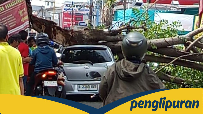 Pohon Tumbang, Mobil Rusak! Kejadian Menyedihkan di Ciputat Tanpa Angin Hujan