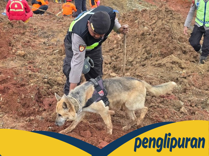 Anjing Pelacak Polda Jateng Beraksi di Cilacap, 205 Personel Polri Turun Cari Korban Longsor