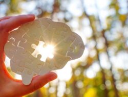 Tidur Sehat atau Cepat Menua? Ini Fakta Mengejutkan Tentang Kebiasaan Tidur Anda