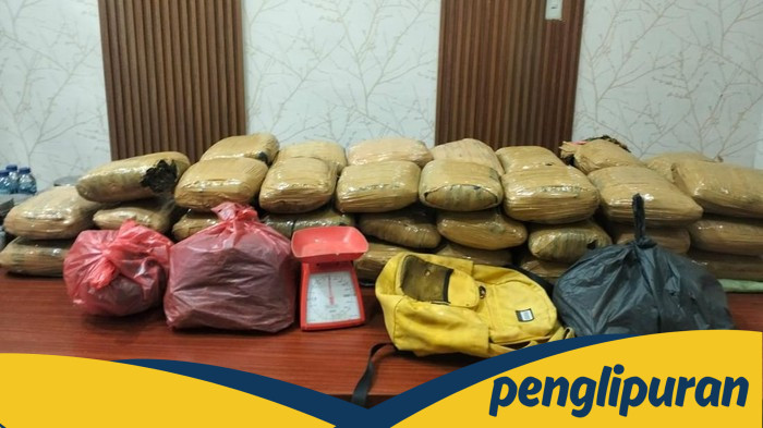 Bareskrim Tumbangkan Jaringan Narkoba Sumut, 47 Kg Ganja Ditemukan!