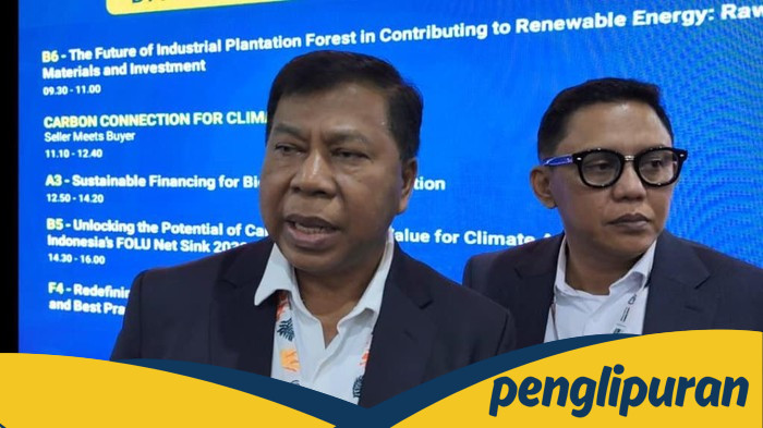 1.700 Hakim Bersertifikat MA, Solusi Perkara Lingkungan Hidup?