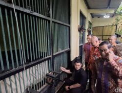 Pramono Cek Pakan Harimau Ragunan, Petugas Bawa Pulang: Fakta Shocking Terkuak!