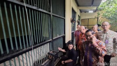 Pramono Cek Pakan Harimau Ragunan, Petugas Bawa Pulang: Fakta Shocking Terkuak!