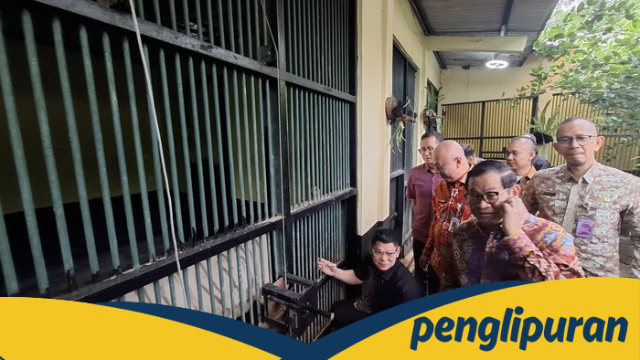 Pramono Cek Pakan Harimau Ragunan, Petugas Bawa Pulang: Fakta Shocking Terkuak!