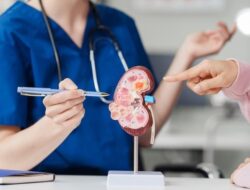 **Studi Global Ungkap Peningkatan Kasus Gagal Ginjal, Ini Alasannya**