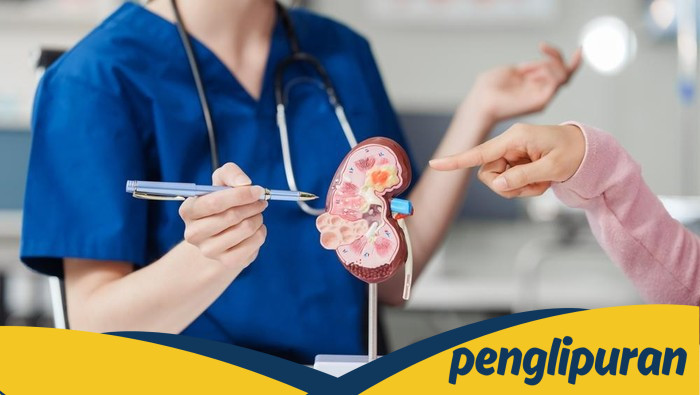 **Studi Global Ungkap Peningkatan Kasus Gagal Ginjal, Ini Alasannya**