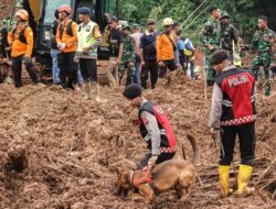 Tragedi Longsor Cilacap: 13 Jiwa Melayang, 10 Orang Masih Hilang