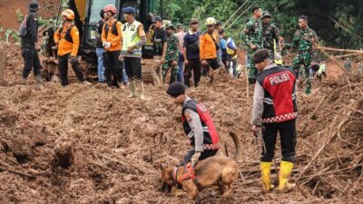 Tragedi Longsor Cilacap: 13 Jiwa Melayang, 10 Orang Masih Hilang