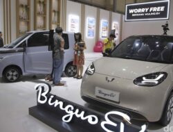 “Wuling Incar Insentif Listrik, Tahun Depan Harapan Masyarakat Terang?”