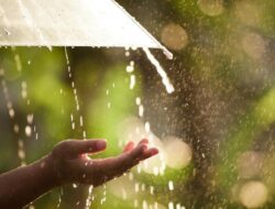 “Hujan Ringan Siang Ini, BMKG Prediksi Sebagian Jakarta Akan Terima Cuaca Ekstrem”