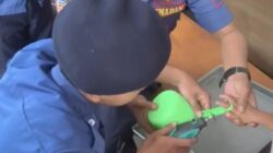 “Tragedi Jari Bocah di Cilegon: Damkar Berjuang, Harapan Terpangkas”