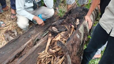 **Misteri Kerangka Manusia dalam Pohon di Sumut Terpecah: Warga Hilang 2 Tahun Lalu**
