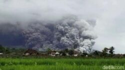 “Gunung Semeru Berstatus ‘AWAS’, Erupsi Meresahkan Warga Sekitar”