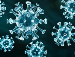 “H3N2: Varian Flu Baru Menyerang, Bahayakan Kesehatan di Inggris dan Jepang!”