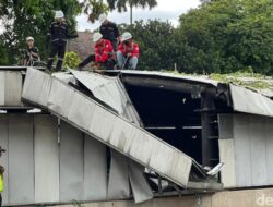 MRT Belum Normal, Petugas Bersihkan Sisa Pohon Tumbang di Senayan: Krisis Transportasi Berlanjut