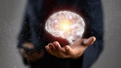 **Studi Ungkap Jenis Makanan yang Bisa Cegah Lansia Demensia, Otak Auto Awet Muda**