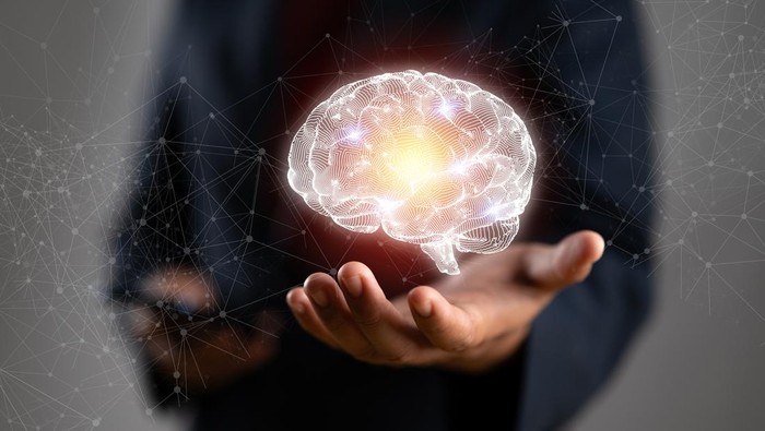 **Studi Ungkap Jenis Makanan yang Bisa Cegah Lansia Demensia, Otak Auto Awet Muda**