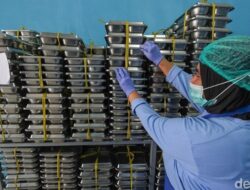 Prabowo Usulkan Telur Puyuh Gantikan Menu MBG, Cegah Naik Harga Jelang Nataru