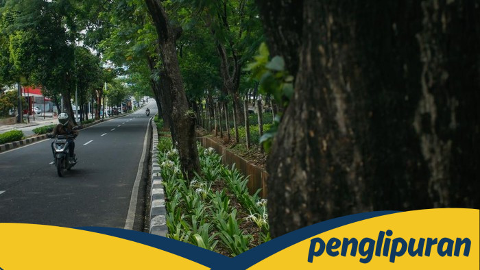 Pemprov Jakarta Pangkas 163 Pohon Rawan Tumbang, Ancam Hidup Warga!