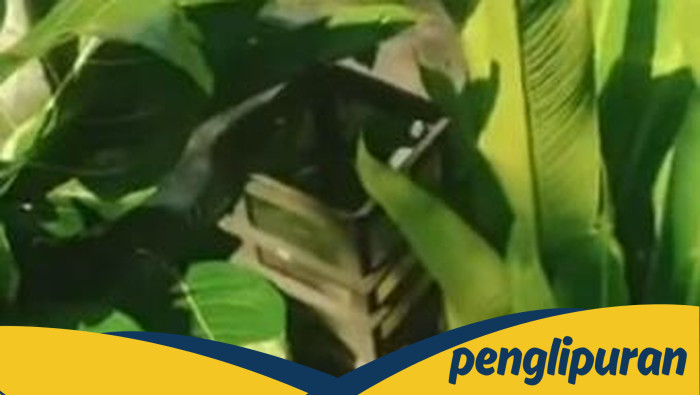 🚨 VIRAL! Lampu Taman Cibinong Hilang, Diduga Dicuri, Siapa Pelakunya?