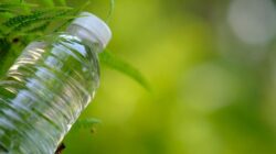 “Penjelasan Pakar ITB: Sumber AMDK dari Air Tanah, Solusi Kesehatan yang Wajib Tahu”