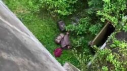 Bareskrim Ambil Alih Kasus Ekstasi, Apa yang Terjadi di Lampung Usai Kecelakaan Mobil?