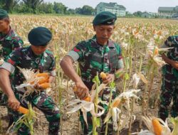“TNI Berperan Kunci dalam Ketahanan Pangan, Titiek Soeharto: Ini Pentingnya!”