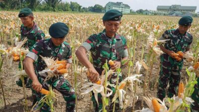 “TNI Berperan Kunci dalam Ketahanan Pangan, Titiek Soeharto: Ini Pentingnya!”