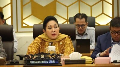 Ketua Komisi IV DPR RI: Sektor Pertanian Terus Membaik di Tangan Amran – Update 1