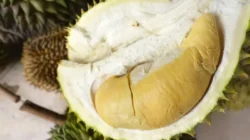**”Rebutan Klaim Durian Singapura Vs Malaysia: Teknologi AI dan Blockchain sebagai Solusi”**