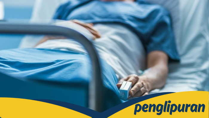 Kematian Pertama Akibat Flu Burung H5N5 Dirapikan AS, CDC Peringatkan Risiko Terbaru