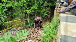 Potret Anjing Pelacak Sisir Jembatan di Tenjo Cari Kerangka Bocah Alvaro: Upaya Terakhir untuk Menemukan Kebenaran