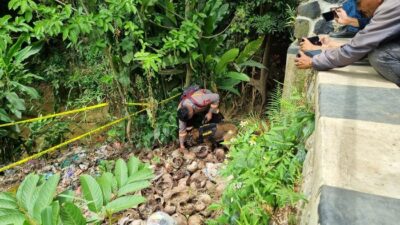 Potret Anjing Pelacak Sisir Jembatan di Tenjo Cari Kerangka Bocah Alvaro: Upaya Terakhir untuk Menemukan Kebenaran