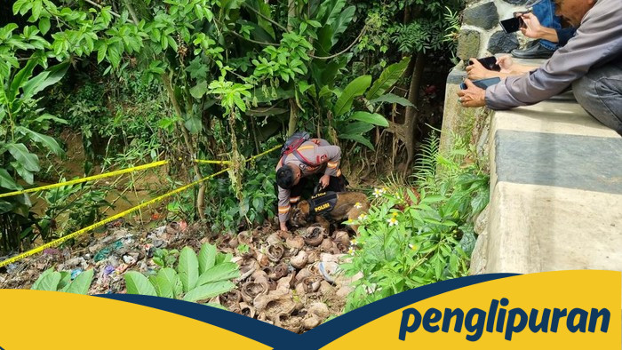 Potret Anjing Pelacak Sisir Jembatan di Tenjo Cari Kerangka Bocah Alvaro: Upaya Terakhir untuk Menemukan Kebenaran