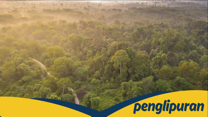 Polda Riau Tegaskan Tindak Tegas Terhadap Perusakan Pos Satgas TNTN