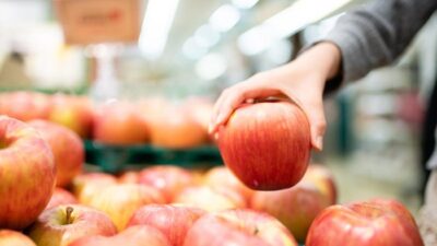 Ahli Gizi Jepang Ungkap Buah ‘Rahasia’ untuk Kesehatan Jangka Panjang, Simak Pilihannya!